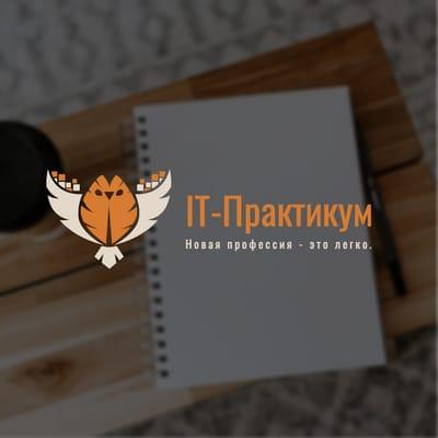 Виртуальный Мастер-класс Образование Иконка Сова Дизайн-логотипа