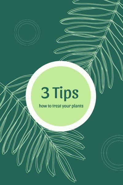 Зеленые Советы для Растений Pinterest Pin