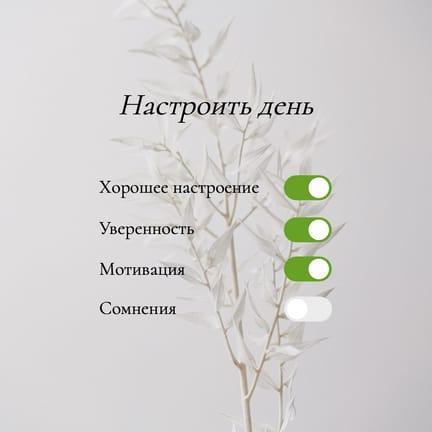 Настроить День Параметры Публикация в Instagram