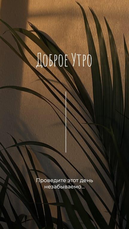 Доброе Утро Вдохновляющая История в Instagram