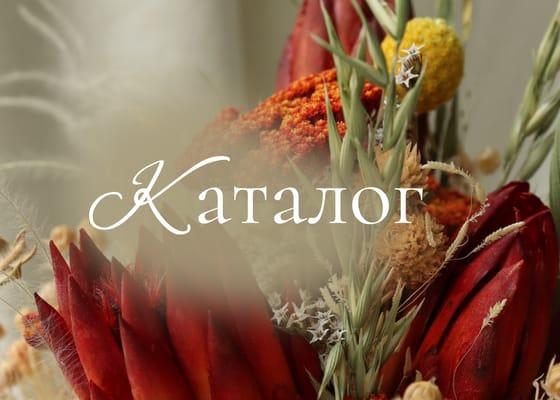 Изображение, Заставка, Навигация, Каталог, Публикация в Вконтакте