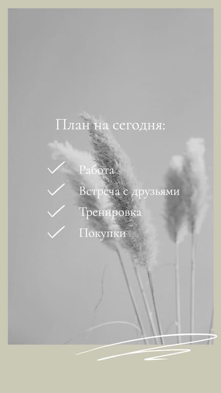 Зеленый и Серый План на День История в Instagram